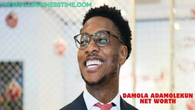 Damola Adamolekun Net Worth