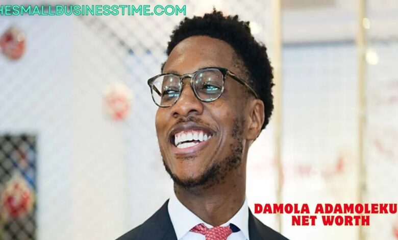 Damola Adamolekun Net Worth