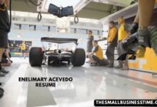 Enelimary Acevedo Resume