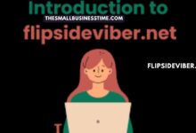Flipsideviber.net