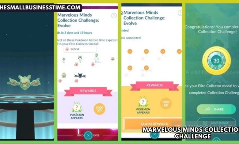 Marvelous Minds Collection Challenge