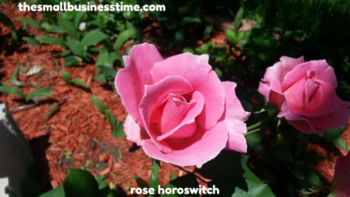 rose horoswitch