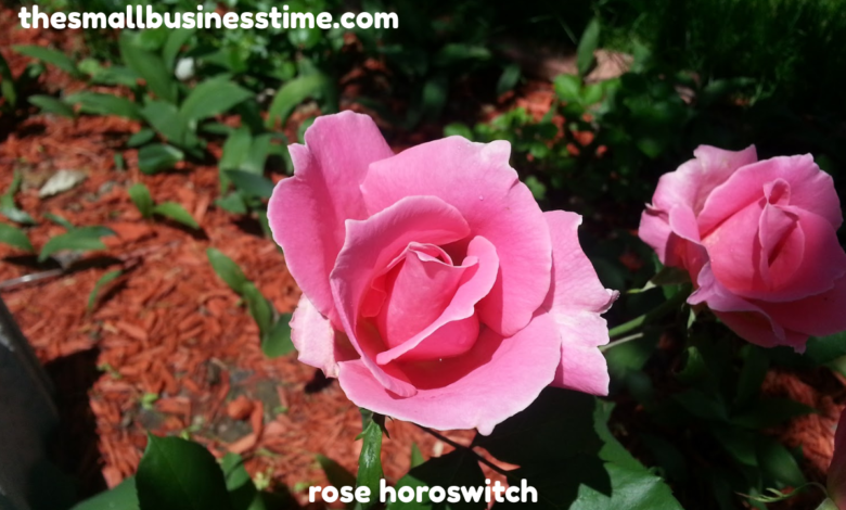 rose horoswitch