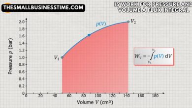 is work for pressure and volume a flux integral