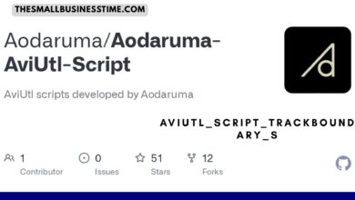aviutl_script_trackboundary_s