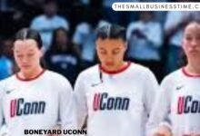 Boneyard UConn