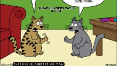 Shaw Slingers Cat Is a Joke