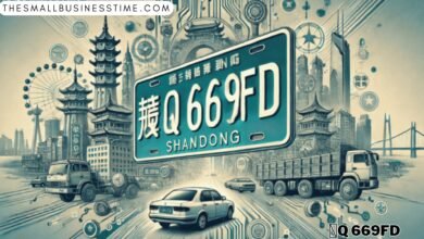 鲁q 669fd