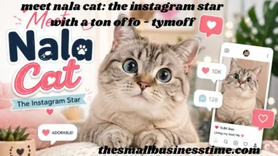 meet nala cat: the instagram star with a ton of fo - tymoff