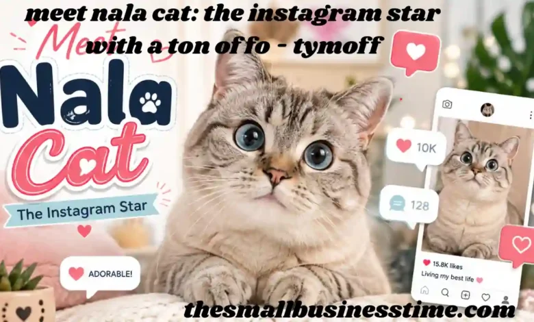 meet nala cat: the instagram star with a ton of fo - tymoff