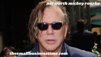net worth mickey rourke