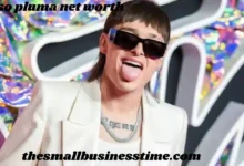 peso pluma net worth