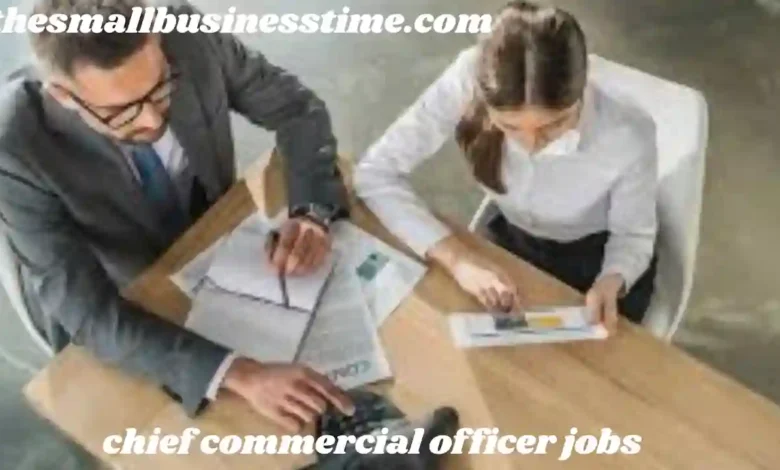 chief commercial officer jobs